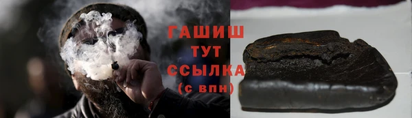 мдпв Ельня